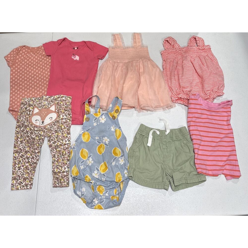 Baby Girl Clothes 6-9 Months Dress, Bodysuits, Bottoms Floral Stripes Pink Blue
